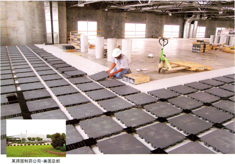 制藥公司網絡地板